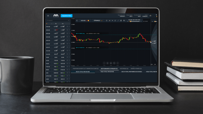 Visuel de la plateforme de trading AvaOptions